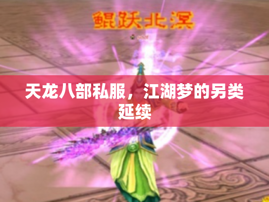 天龙八部私服，江湖梦的另类延续