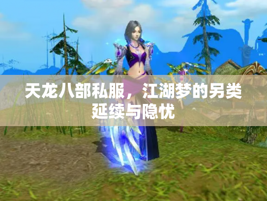 天龙八部私服，江湖梦的另类延续与隐忧