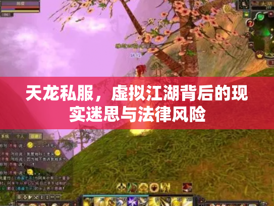 天龙私服，虚拟江湖背后的现实迷思与法律风险