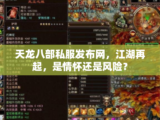 天龙八部私服发布网，江湖再起，是情怀还是风险？