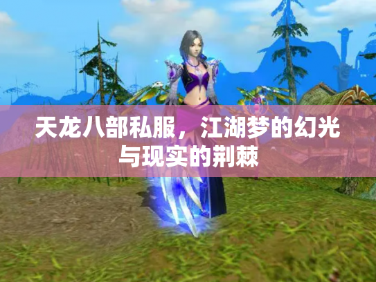 天龙八部私服，江湖梦的幻光与现实的荆棘