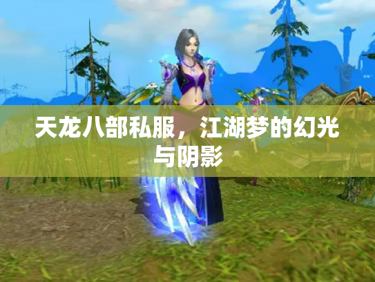 天龙八部私服，江湖梦的幻光与阴影