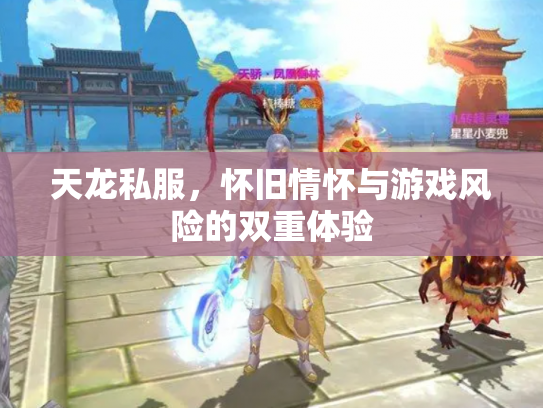 天龙私服，怀旧情怀与游戏风险的双重体验
