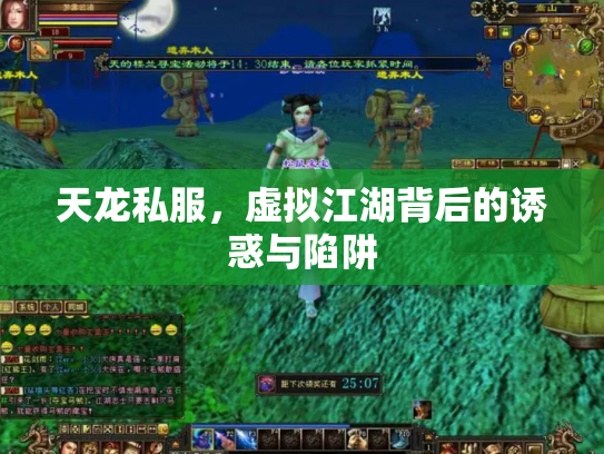 天龙私服，虚拟江湖背后的诱惑与陷阱