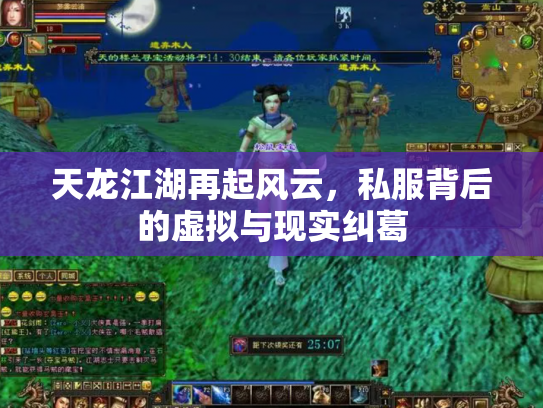 天龙江湖再起风云，私服背后的虚拟与现实纠葛