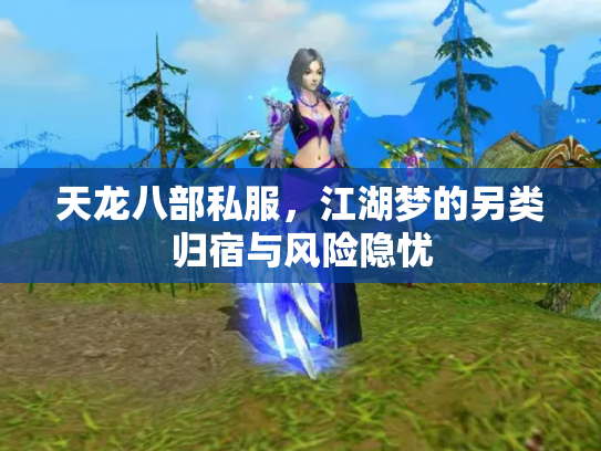 天龙八部私服，江湖梦的另类归宿与风险隐忧