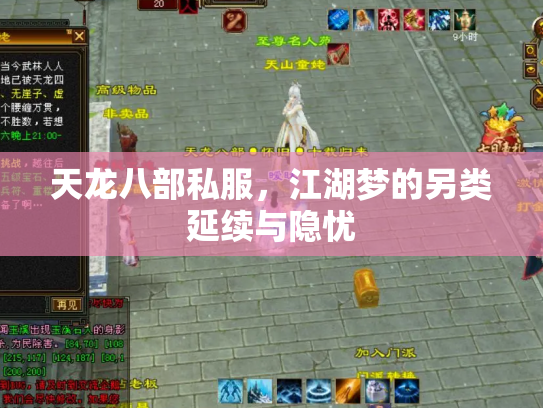 天龙八部私服，江湖梦的另类延续与隐忧