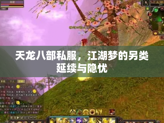 天龙八部私服，江湖梦的另类延续与隐忧