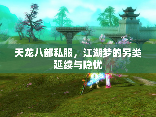 天龙八部私服，江湖梦的另类延续与隐忧