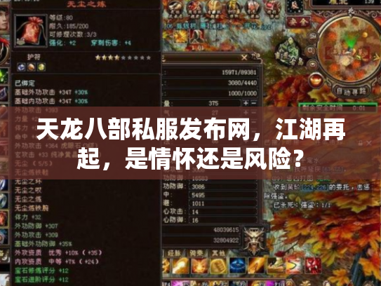 天龙八部私服发布网，江湖再起，是情怀还是风险？