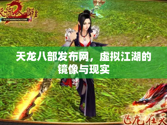 天龙八部发布网，虚拟江湖的镜像与现实