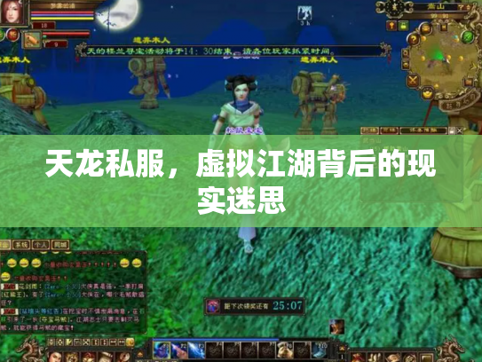 天龙私服，虚拟江湖背后的现实迷思