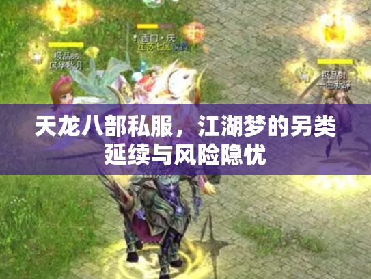 天龙八部私服，江湖梦的另类延续与风险隐忧