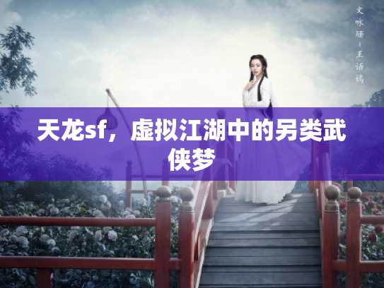 天龙sf，虚拟江湖中的另类武侠梦