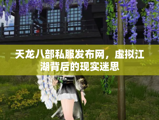 天龙八部私服发布网，虚拟江湖背后的现实迷思