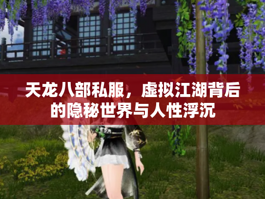 天龙八部私服，虚拟江湖背后的隐秘世界与人性浮沉