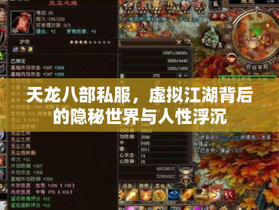 天龙八部私服，虚拟江湖背后的隐秘世界与人性浮沉