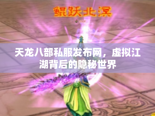 天龙八部私服发布网，虚拟江湖背后的隐秘世界
