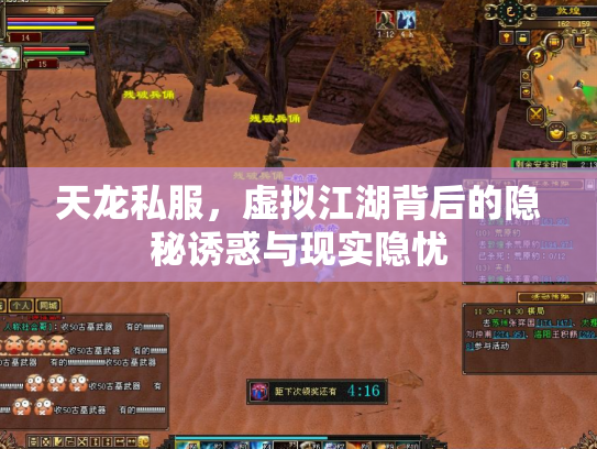 天龙私服，虚拟江湖背后的隐秘诱惑与现实隐忧