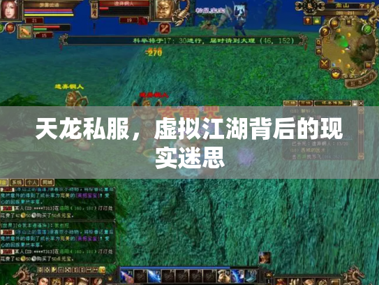 天龙私服，虚拟江湖背后的现实迷思