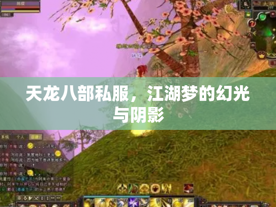 天龙八部私服，江湖梦的幻光与阴影