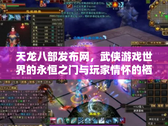 天龙八部发布网，武侠游戏世界的永恒之门与玩家情怀的栖息地