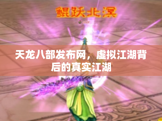 天龙八部发布网，虚拟江湖背后的真实江湖