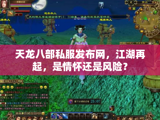 天龙八部私服发布网，江湖再起，是情怀还是风险？