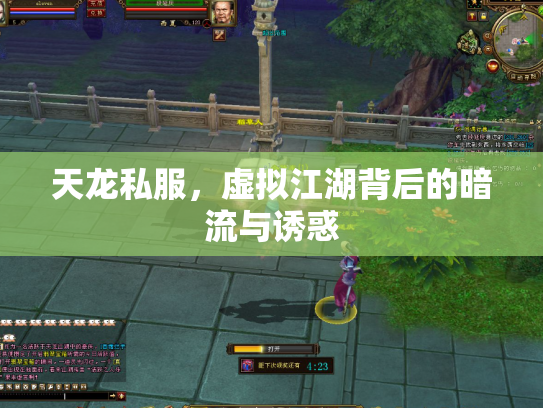 天龙私服，虚拟江湖背后的暗流与诱惑