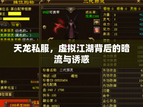 天龙私服，虚拟江湖背后的暗流与诱惑