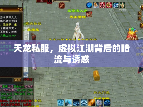 天龙私服，虚拟江湖背后的暗流与诱惑