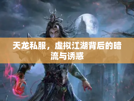天龙私服，虚拟江湖背后的暗流与诱惑