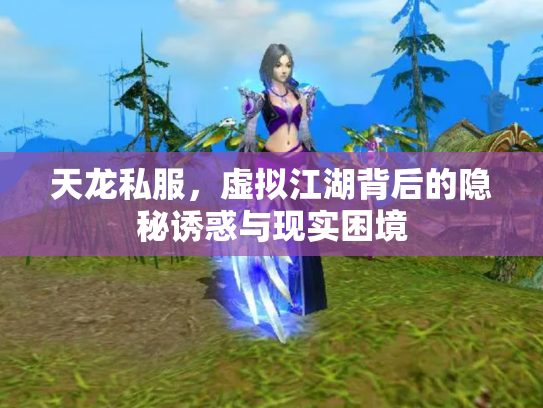 天龙私服，虚拟江湖背后的隐秘诱惑与现实困境