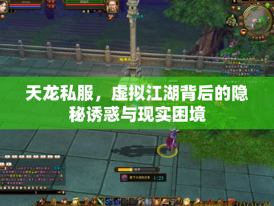 天龙私服，虚拟江湖背后的隐秘诱惑与现实困境