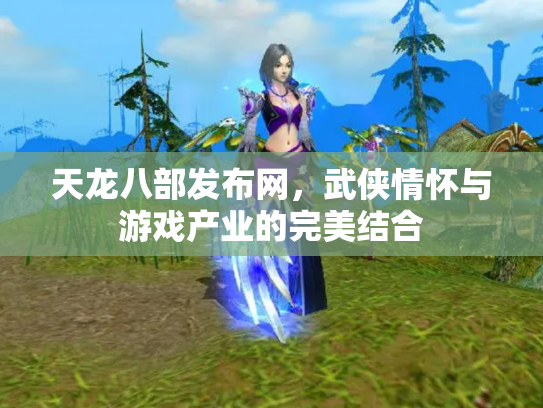 天龙八部发布网，武侠情怀与游戏产业的完美结合