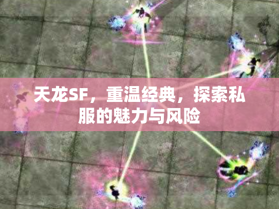 天龙SF，重温经典，探索私服的魅力与风险