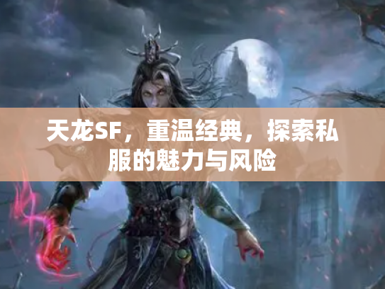 天龙SF，重温经典，探索私服的魅力与风险