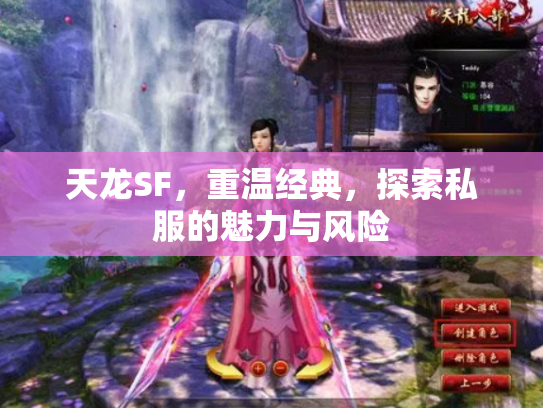 天龙SF，重温经典，探索私服的魅力与风险
