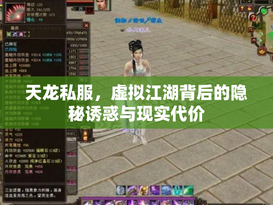 天龙私服，虚拟江湖背后的隐秘诱惑与现实代价