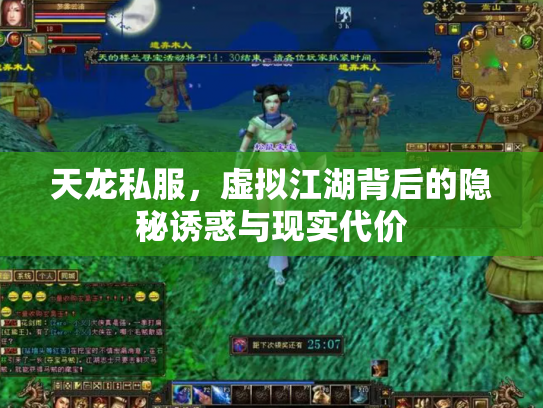 天龙私服，虚拟江湖背后的隐秘诱惑与现实代价