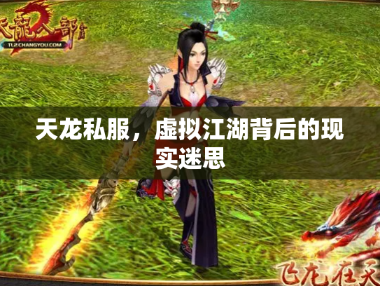 天龙私服，虚拟江湖背后的现实迷思
