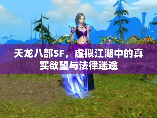 天龙八部SF，虚拟江湖中的真实欲望与法律迷途