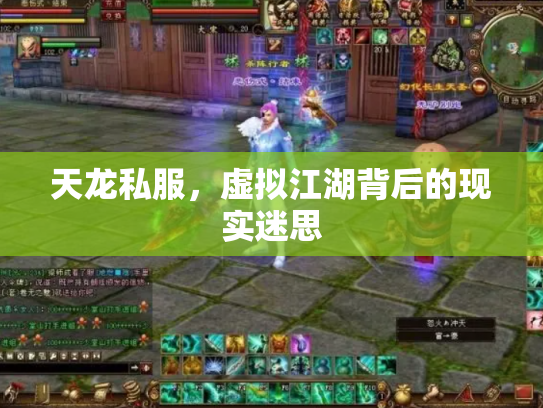 天龙私服，虚拟江湖背后的现实迷思