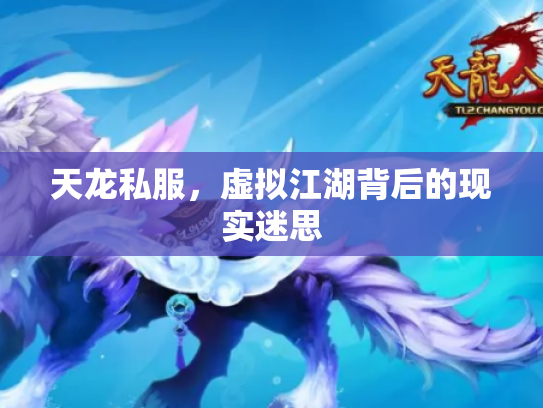 天龙私服，虚拟江湖背后的现实迷思