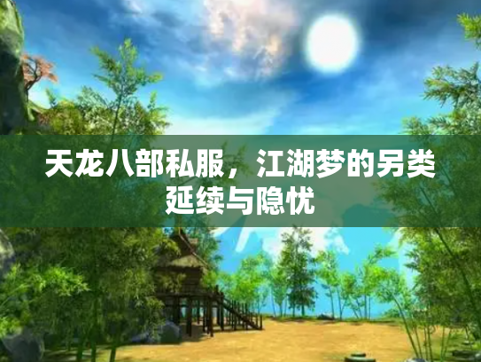 天龙八部私服，江湖梦的另类延续与隐忧