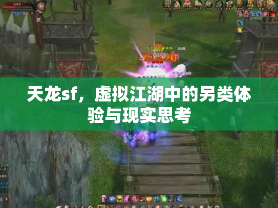 天龙sf，虚拟江湖中的另类体验与现实思考
