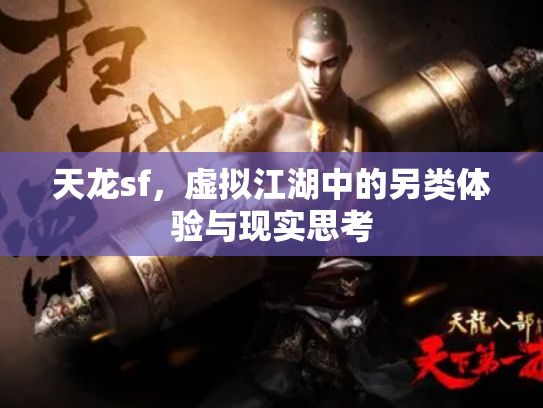 天龙sf，虚拟江湖中的另类体验与现实思考