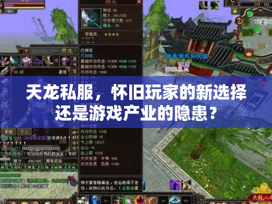 天龙私服，怀旧玩家的新选择还是游戏产业的隐患？