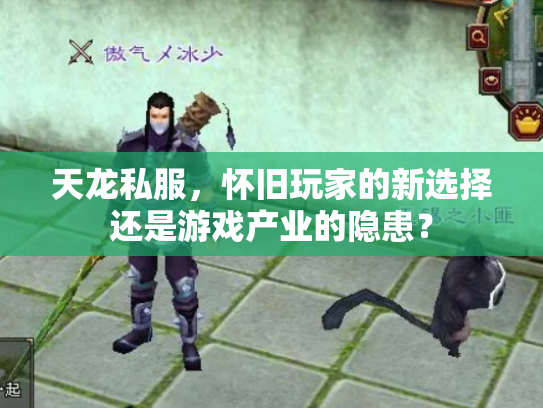 天龙私服，怀旧玩家的新选择还是游戏产业的隐患？
