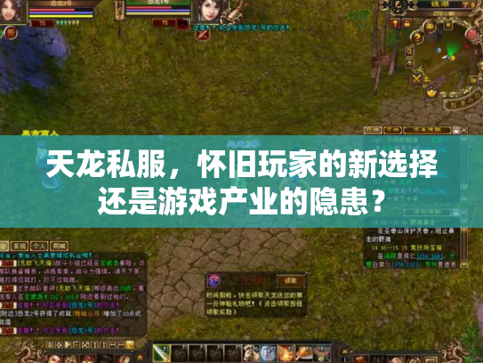 天龙私服，怀旧玩家的新选择还是游戏产业的隐患？